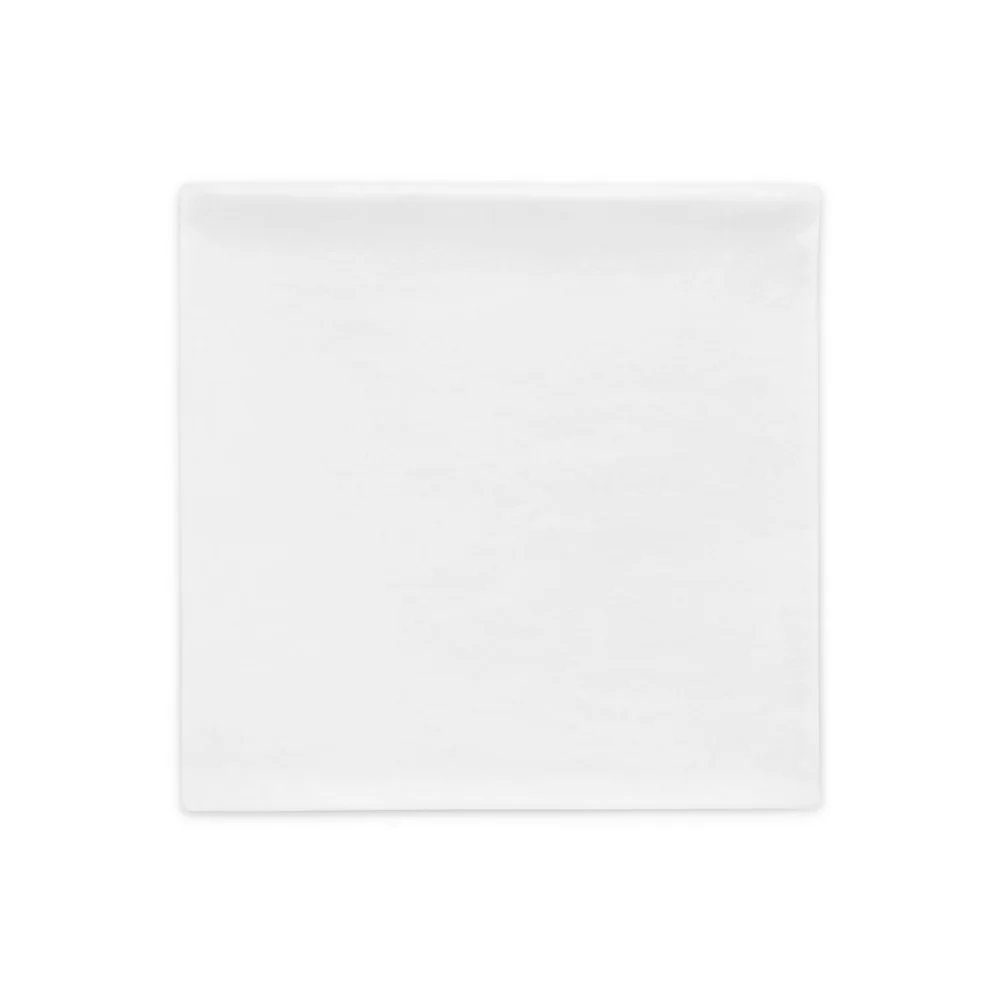 50 States - Pillow Case - Image 3