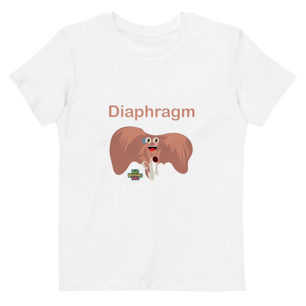 Diaphragm - Organic cotton kids t-shirt - Image 6