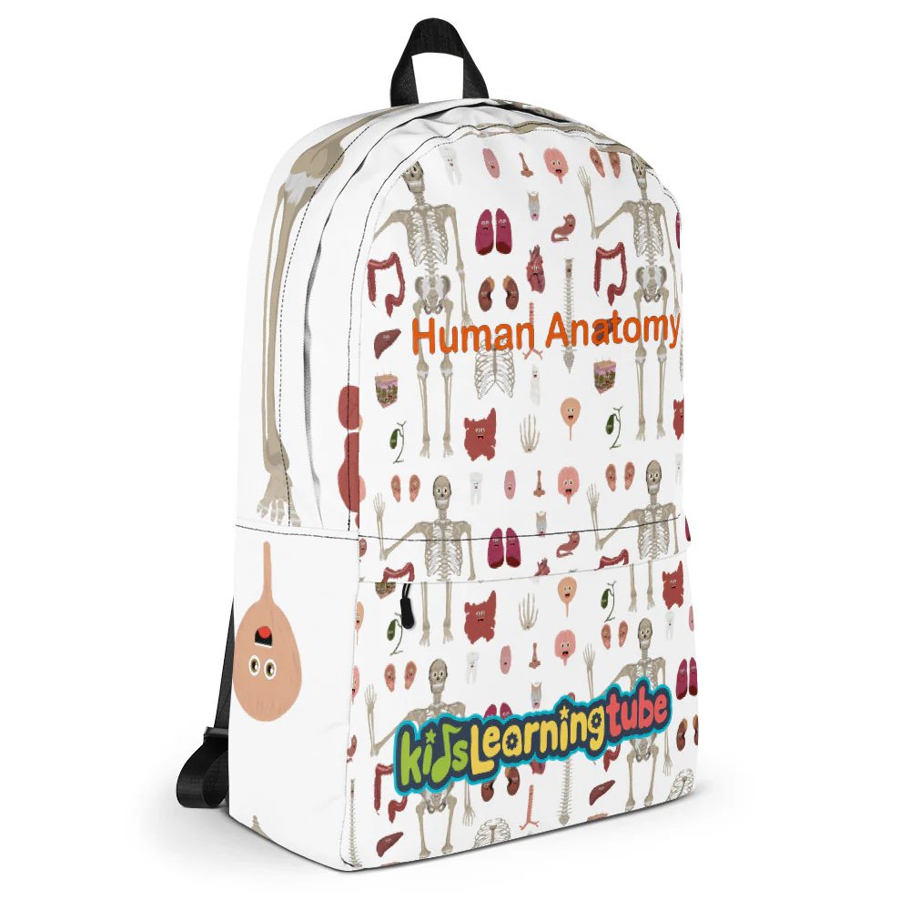 Human Anatomy - Backpack - Image 6