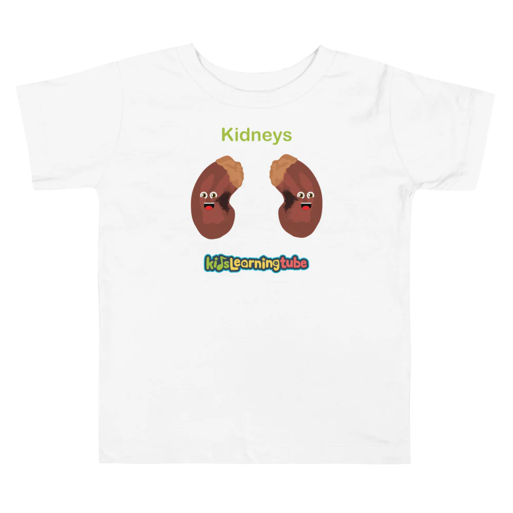 Kidney - Toddler Short Sleeve Tee