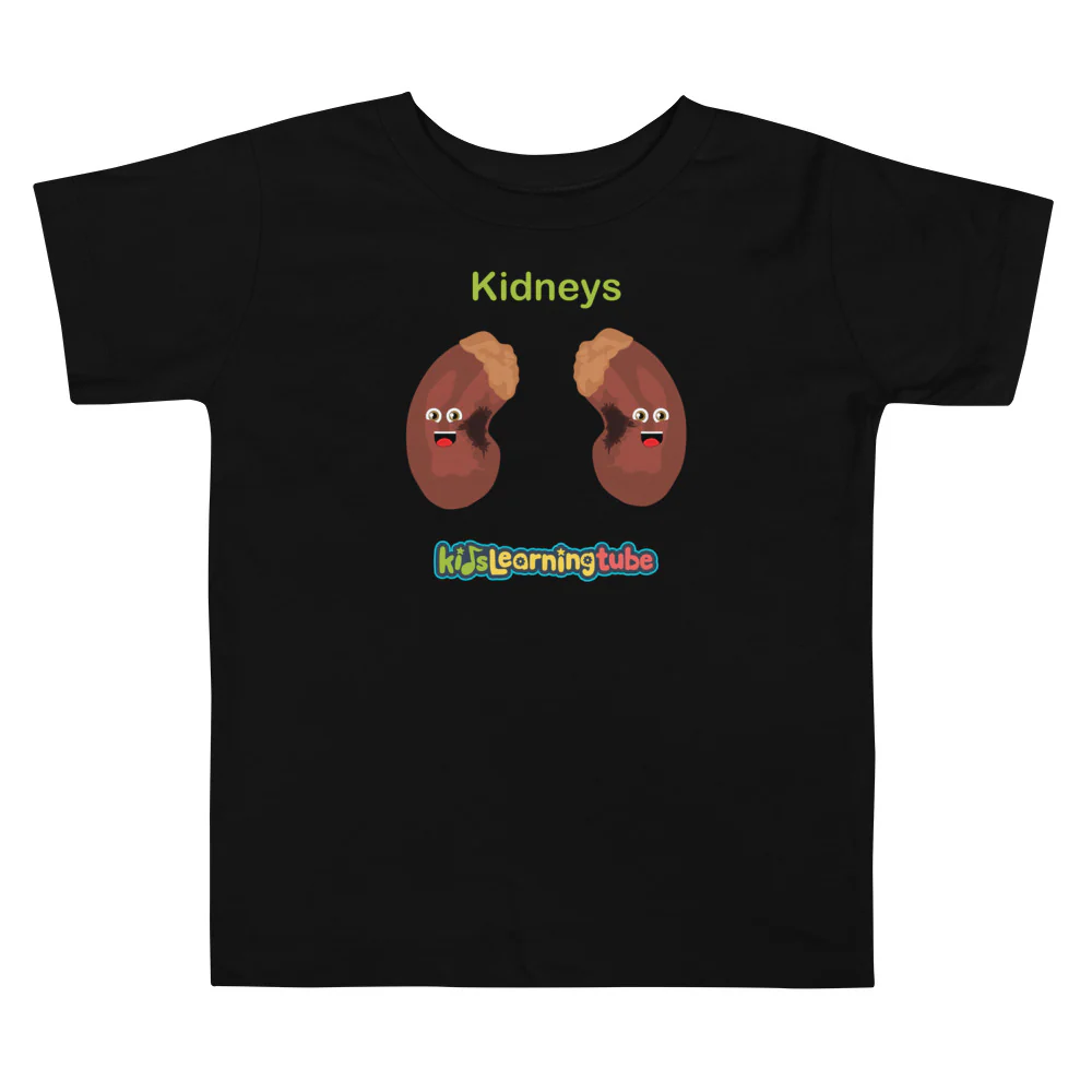 Kidney - Toddler Short Sleeve Tee - Image 2
