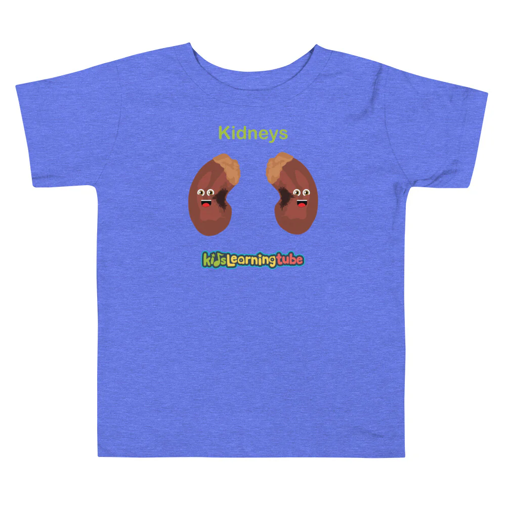 Kidney - Toddler Short Sleeve Tee - Image 3
