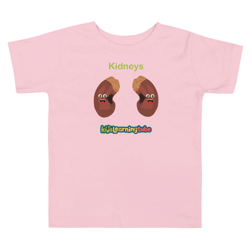 Kidney - Toddler Short Sleeve Tee - Image 4