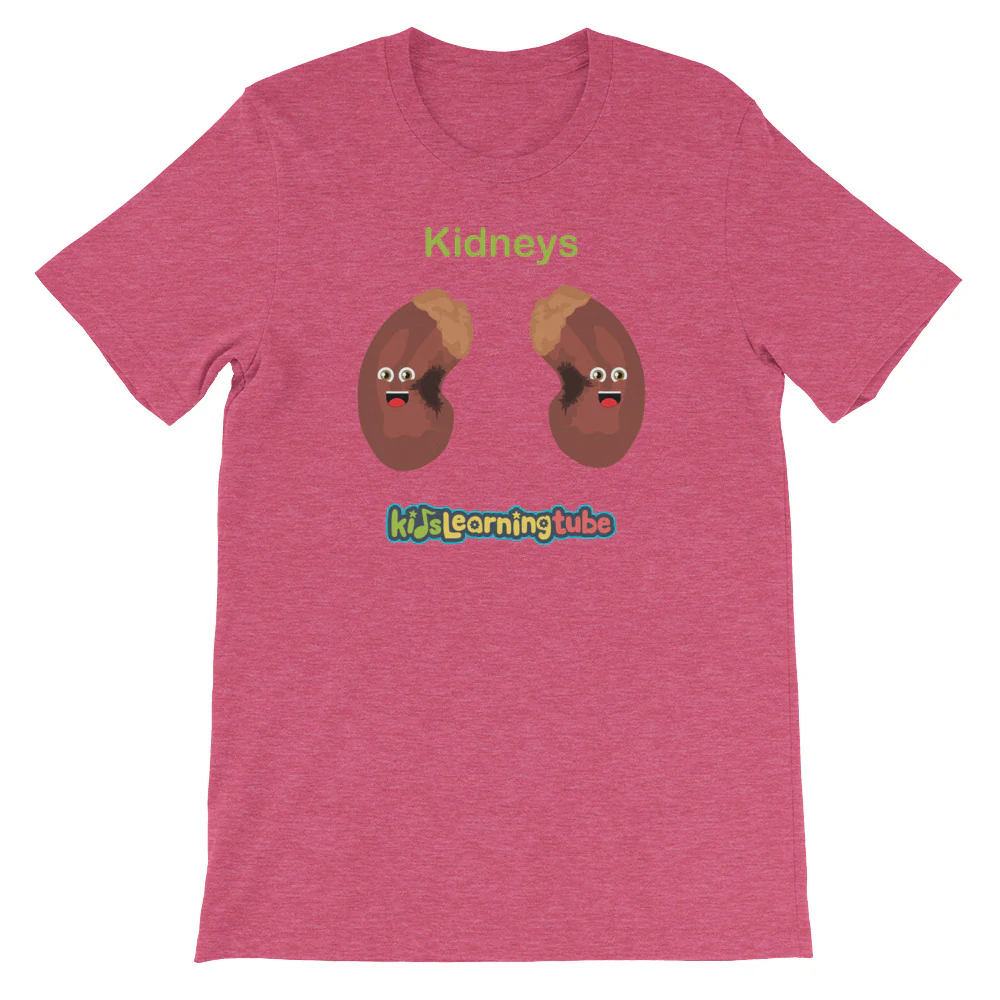 'Kidneys' Adult Unisex Short-Sleeve T-Shirt - Image 14