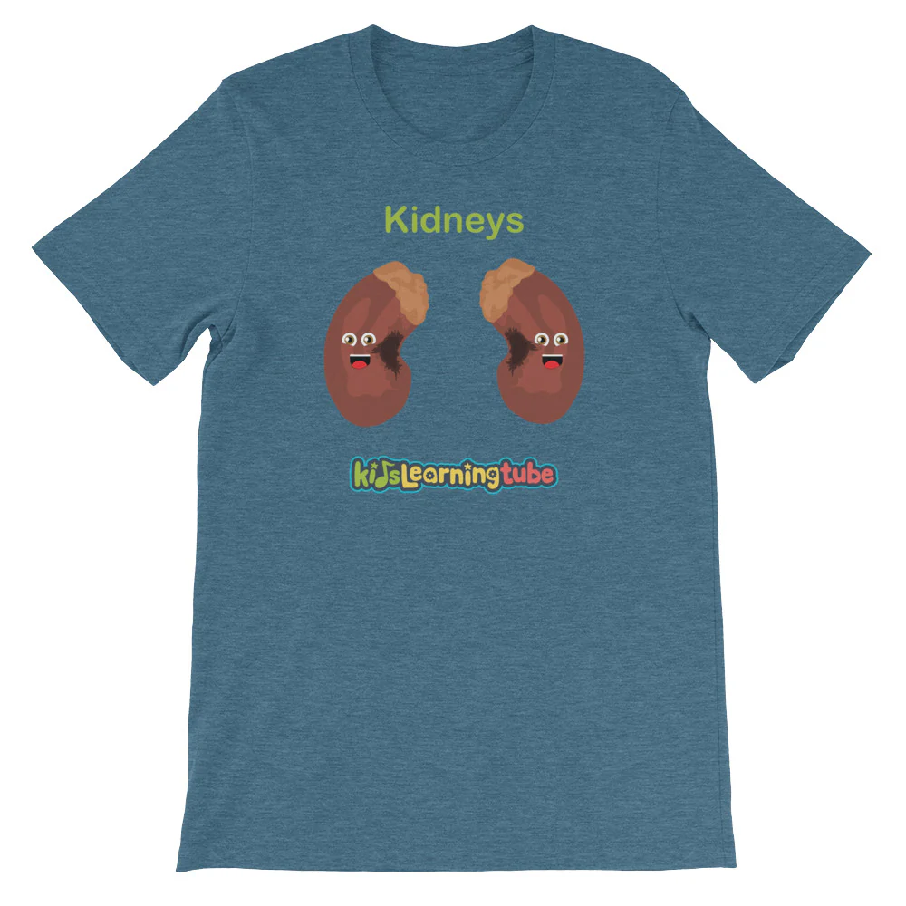 'Kidneys' Adult Unisex Short-Sleeve T-Shirt - Image 3