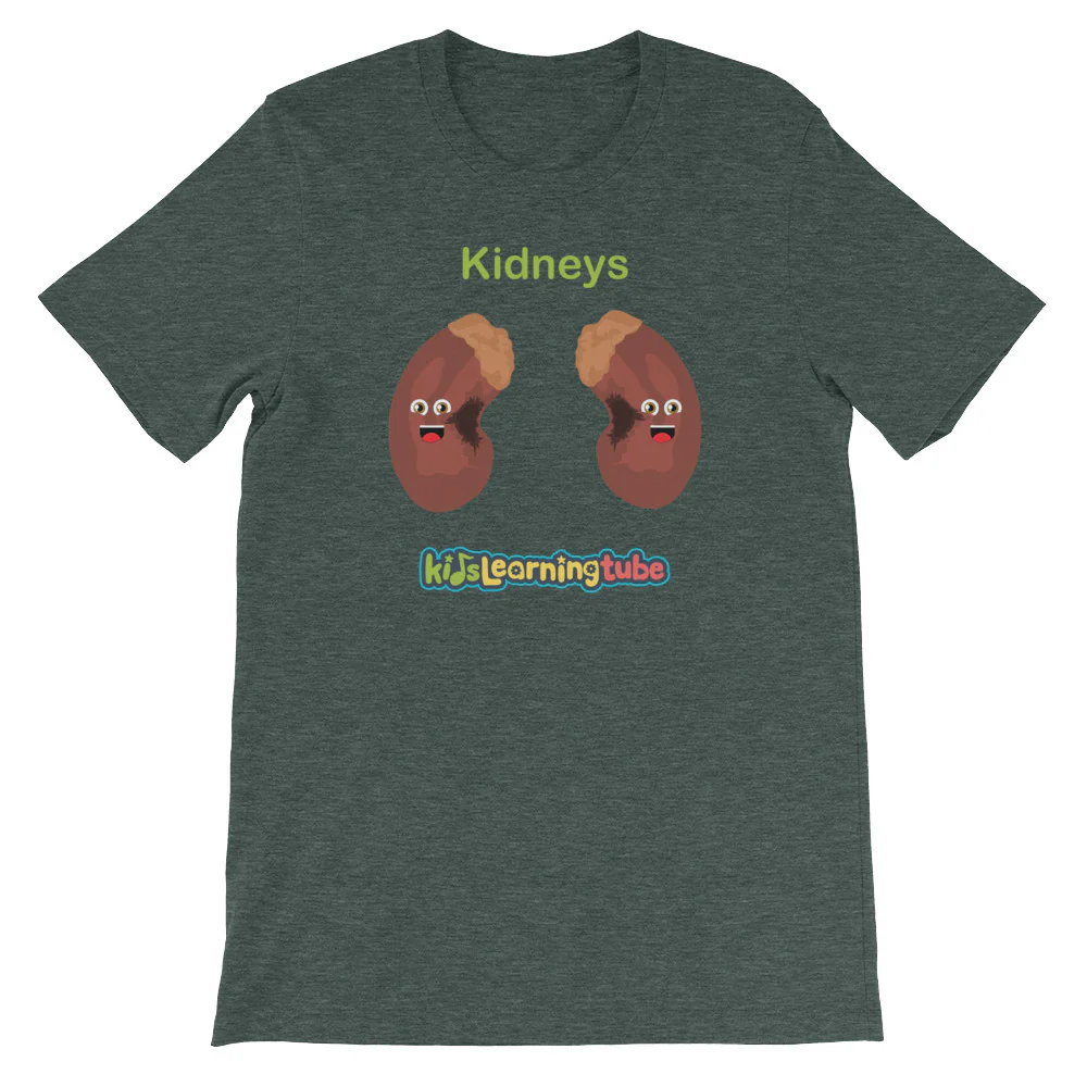 'Kidneys' Adult Unisex Short-Sleeve T-Shirt - Image 4