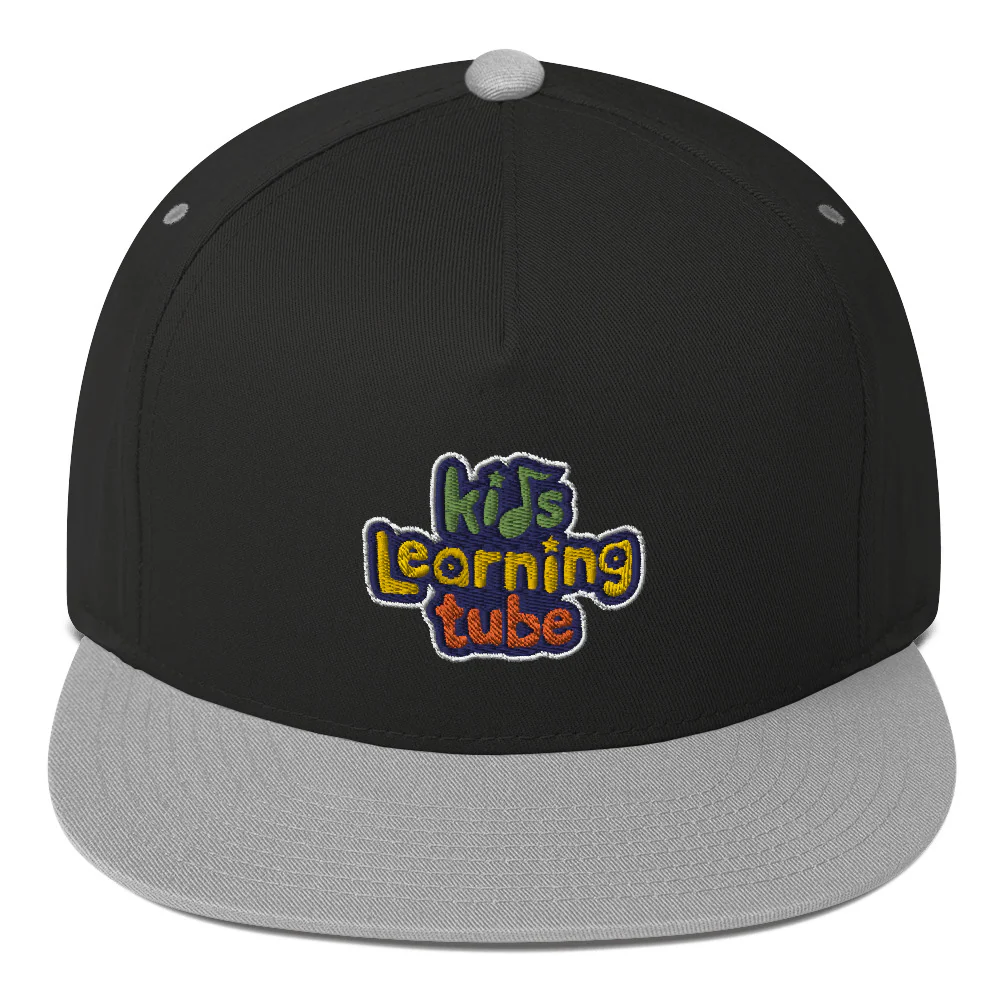 Kids Learning Tube Flat Bill Cap - Image 3