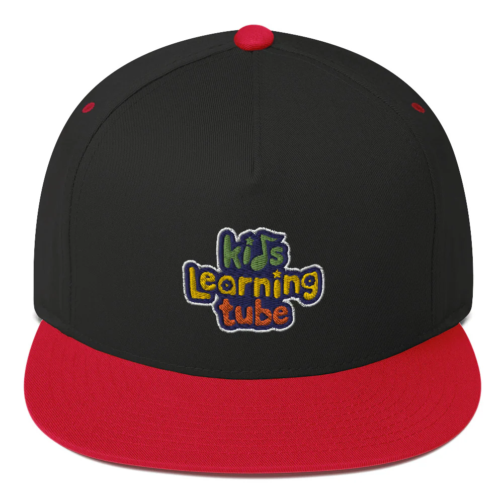 Kids Learning Tube Flat Bill Cap - Image 4