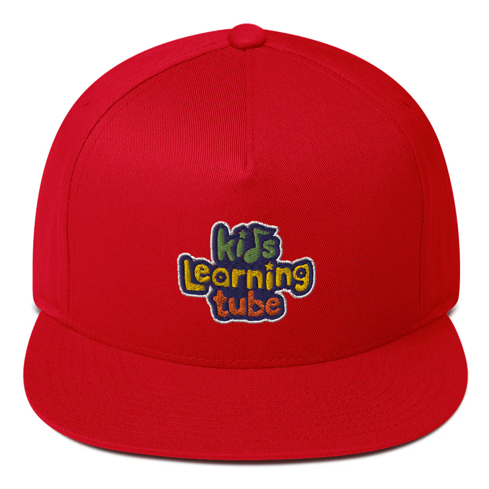 Kids Learning Tube Flat Bill Cap - Image 6