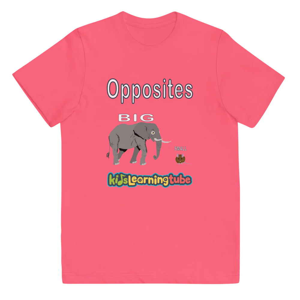 Opposites - Youth jersey t-shirt - Image 4