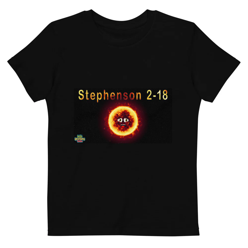 Organic cotton kids t-shirt