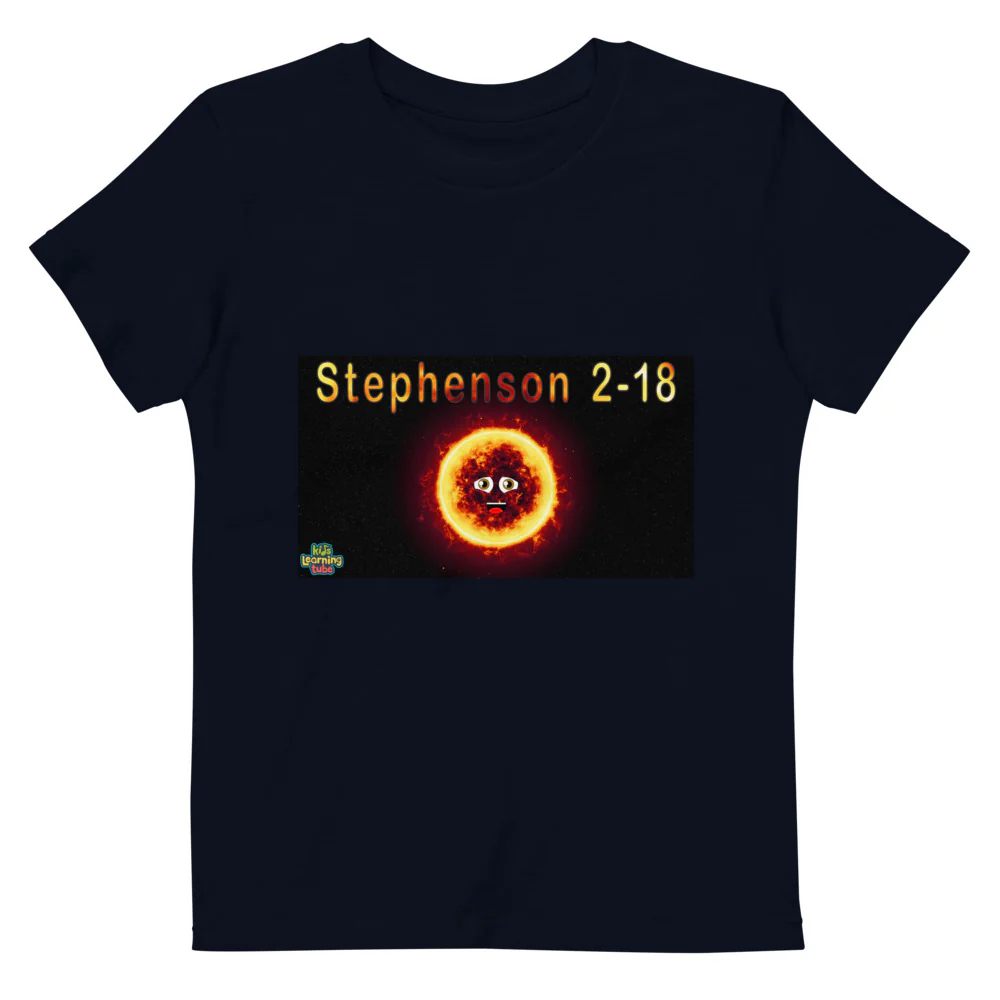 Organic cotton kids t-shirt - Image 2