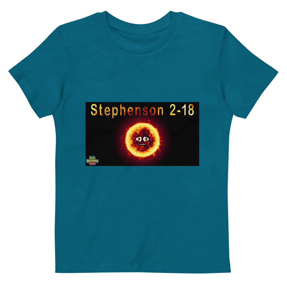 Organic cotton kids t-shirt - Image 3
