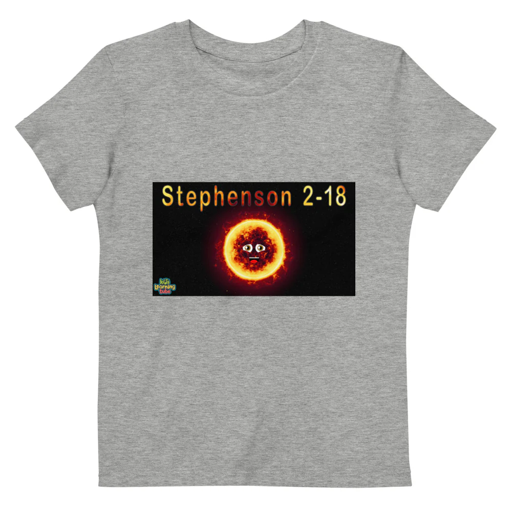 Organic cotton kids t-shirt - Image 4