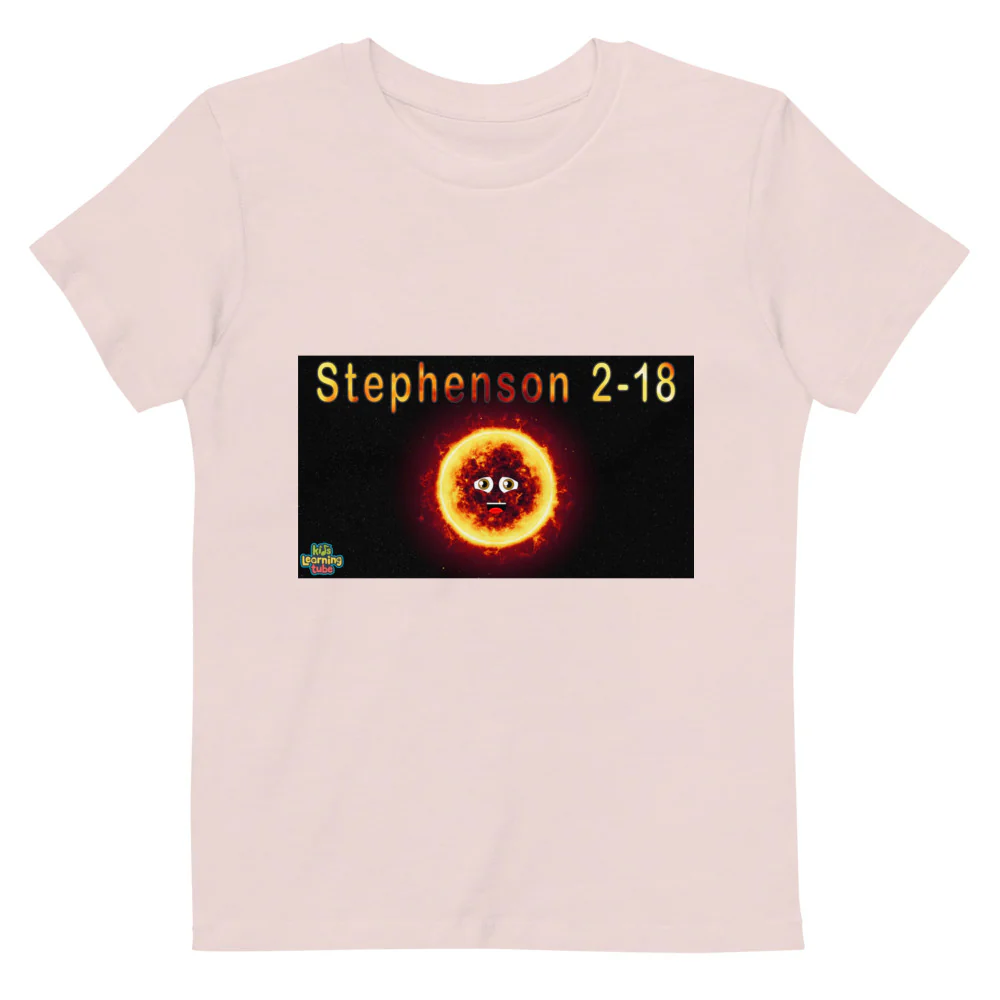 Organic cotton kids t-shirt - Image 5