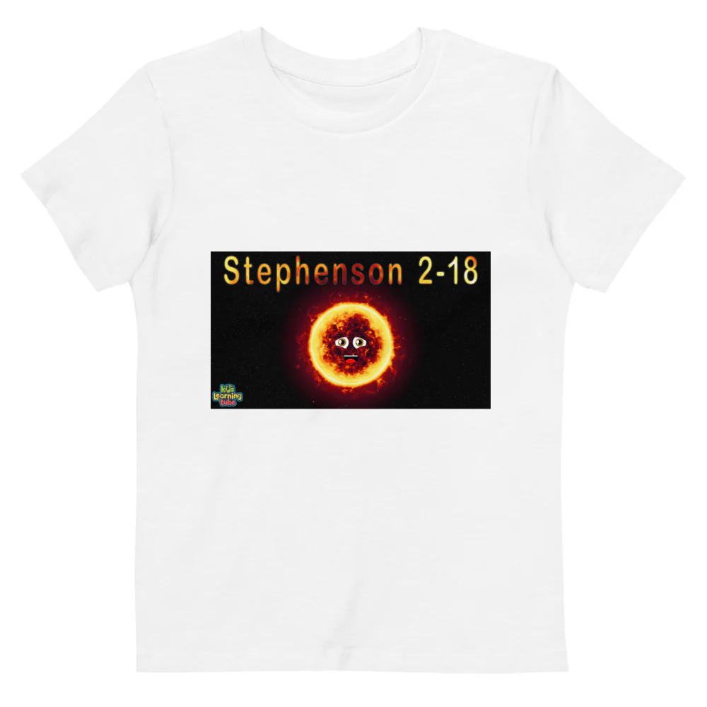 Organic cotton kids t-shirt - Image 6