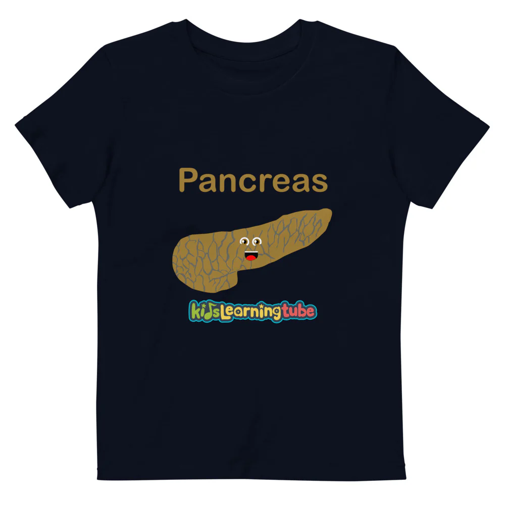 Pancreas - Organic cotton kids t-shirt - Image 2