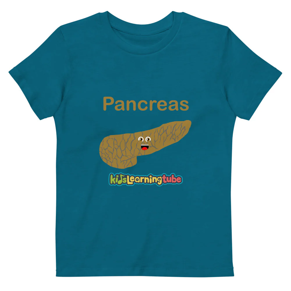 Pancreas - Organic cotton kids t-shirt - Image 3
