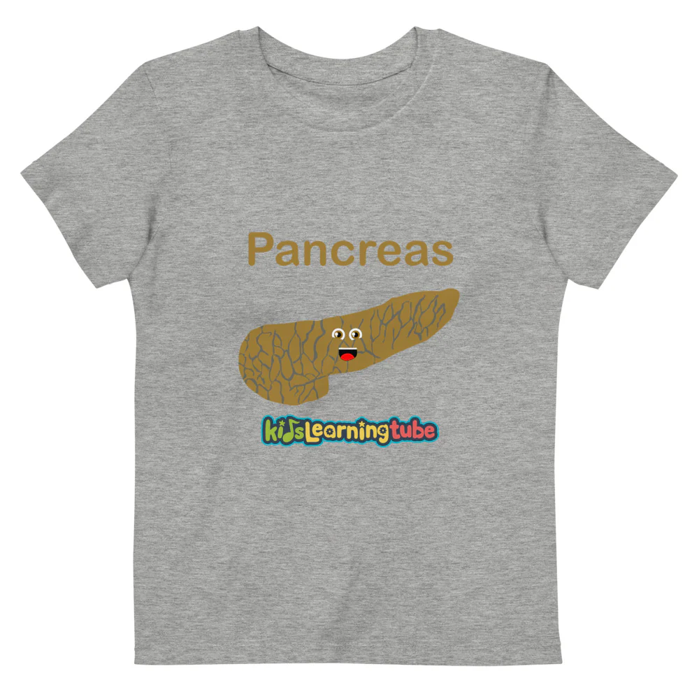 Pancreas - Organic cotton kids t-shirt - Image 4