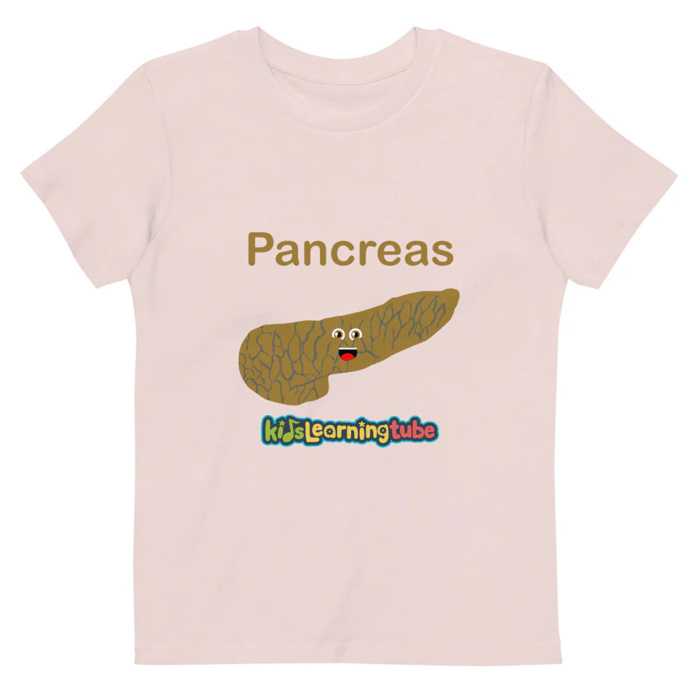 Pancreas - Organic cotton kids t-shirt - Image 5