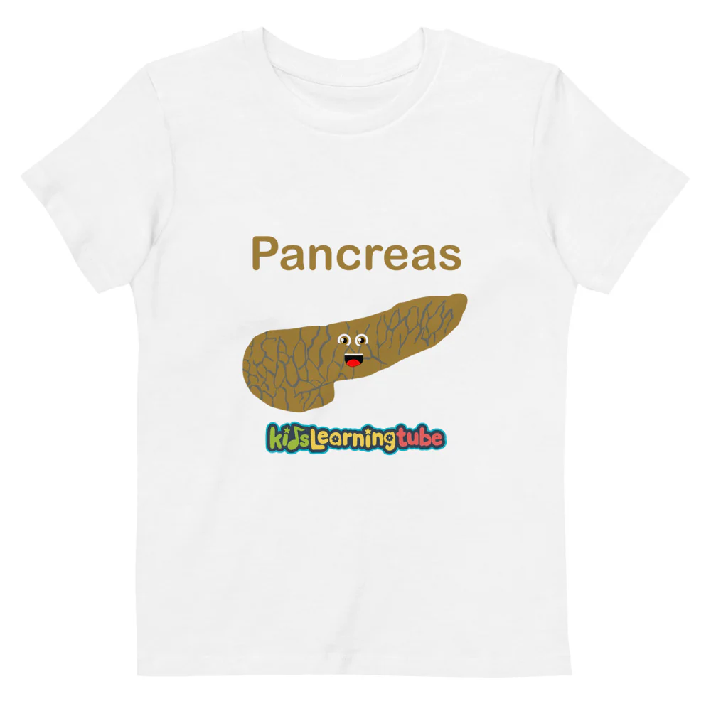 Pancreas - Organic cotton kids t-shirt - Image 6