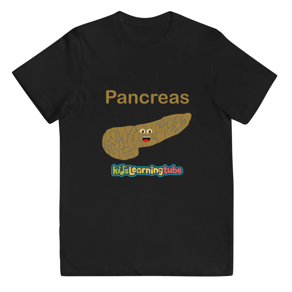 Pancreas - Youth jersey t-shirt - Image 2