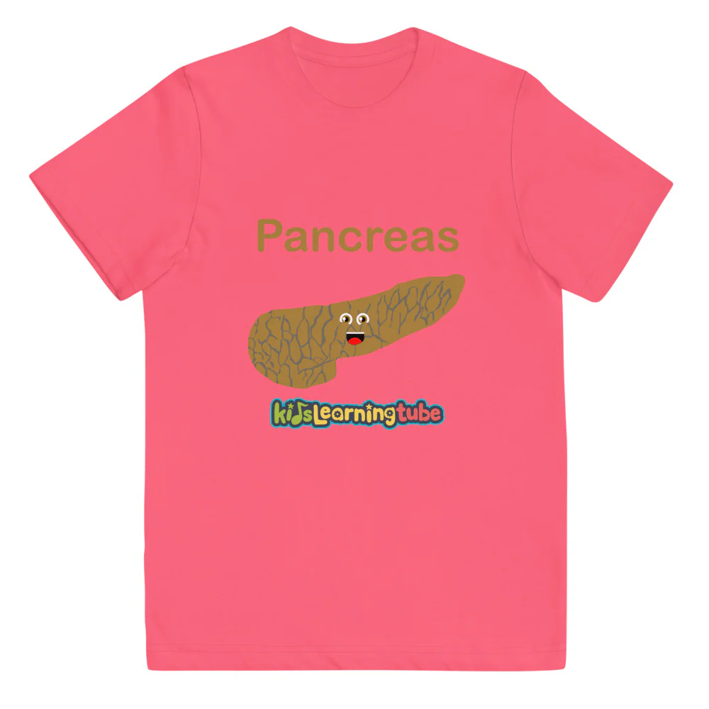 Pancreas - Youth jersey t-shirt - Image 4