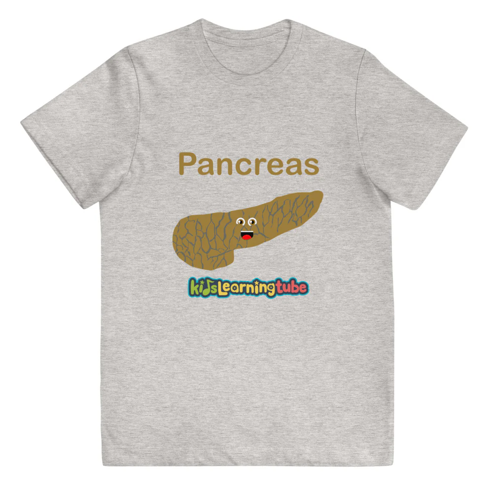 Pancreas - Youth jersey t-shirt - Image 5