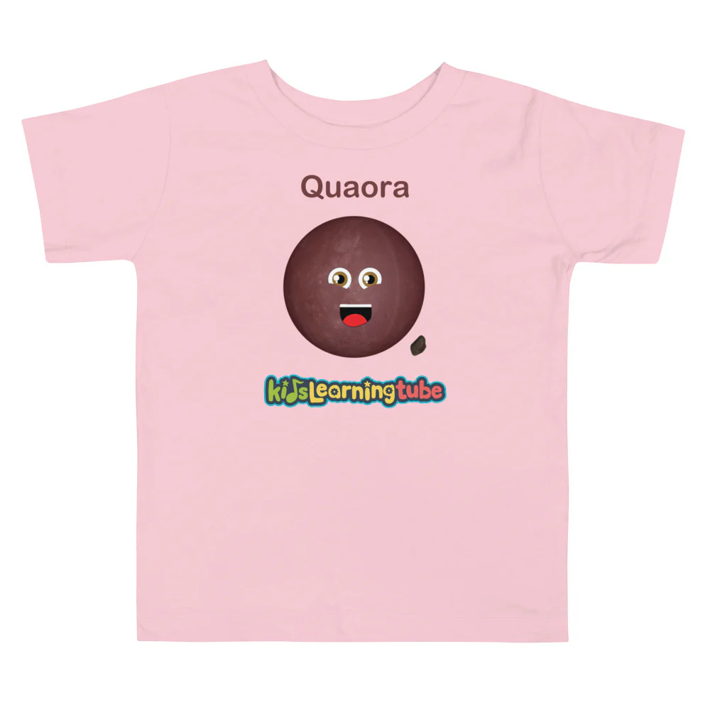 Quaora - Toddler Short Sleeve Tee - Image 4