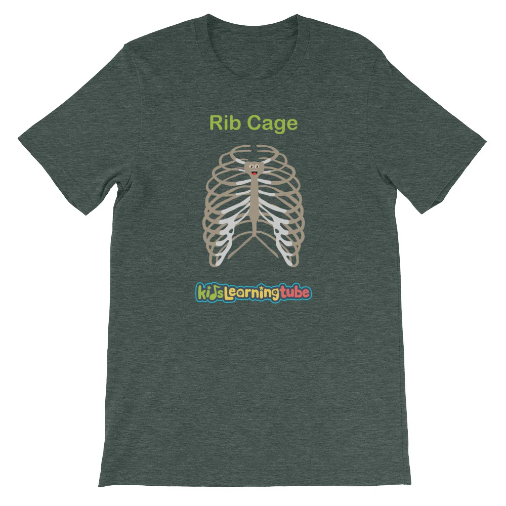 'Rib Cage' Adult Unisex Short-Sleeve T-Shirt - Image 4