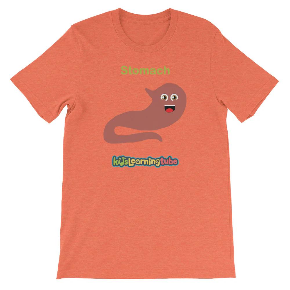 'Stomach' Adult Unisex Short-Sleeve T-Shirt - Image 11