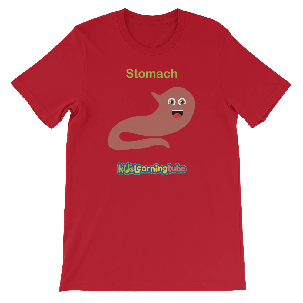 'Stomach' Adult Unisex Short-Sleeve T-Shirt - Image 13