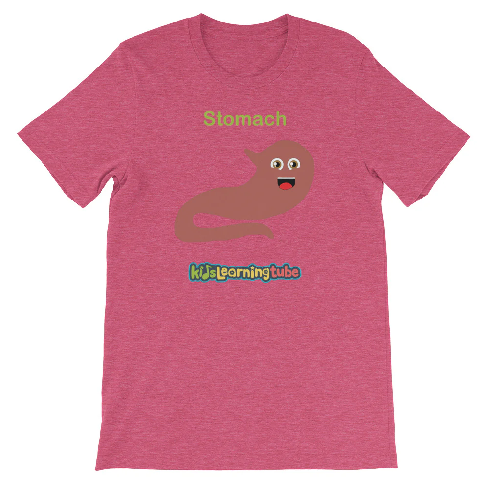 'Stomach' Adult Unisex Short-Sleeve T-Shirt - Image 14