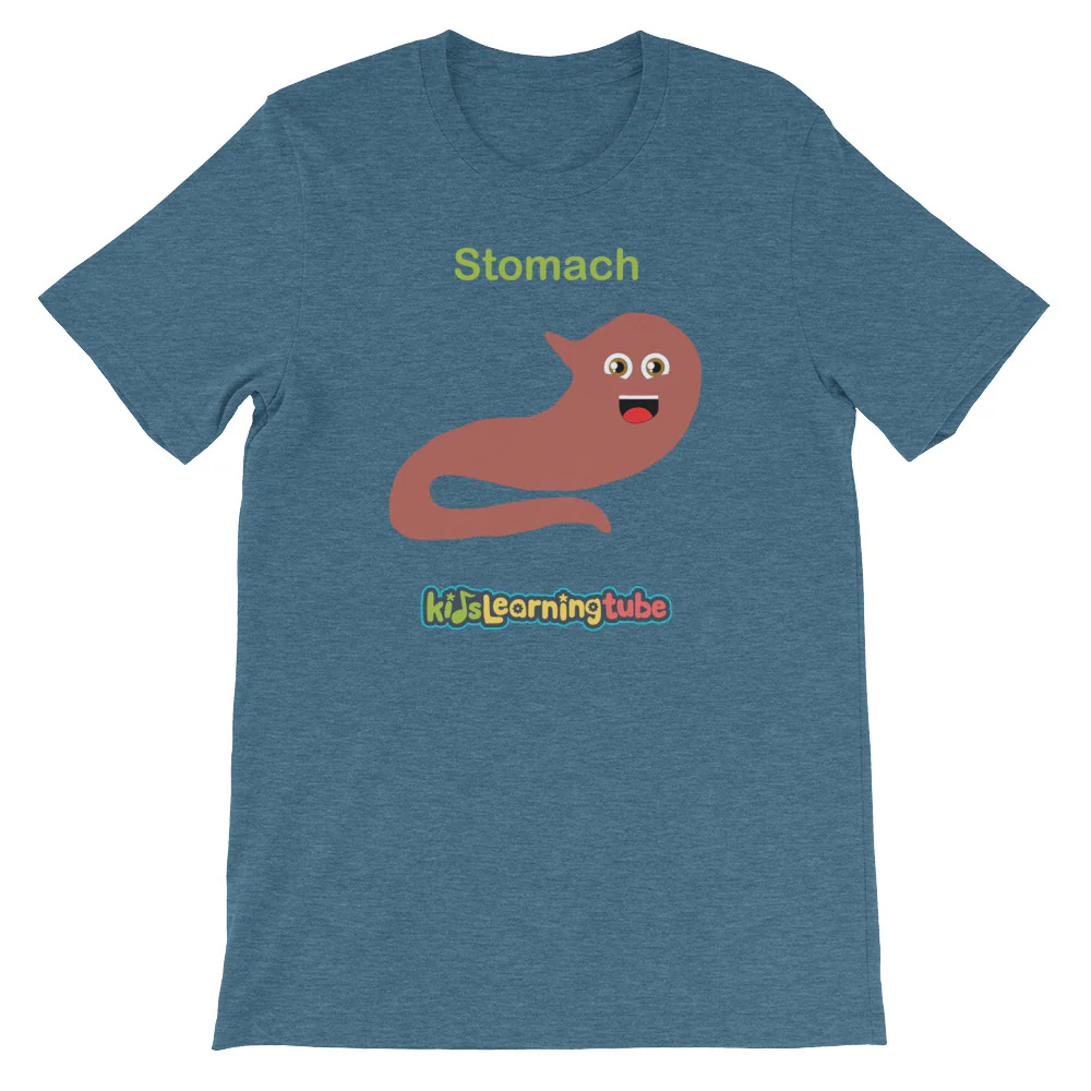 'Stomach' Adult Unisex Short-Sleeve T-Shirt - Image 3