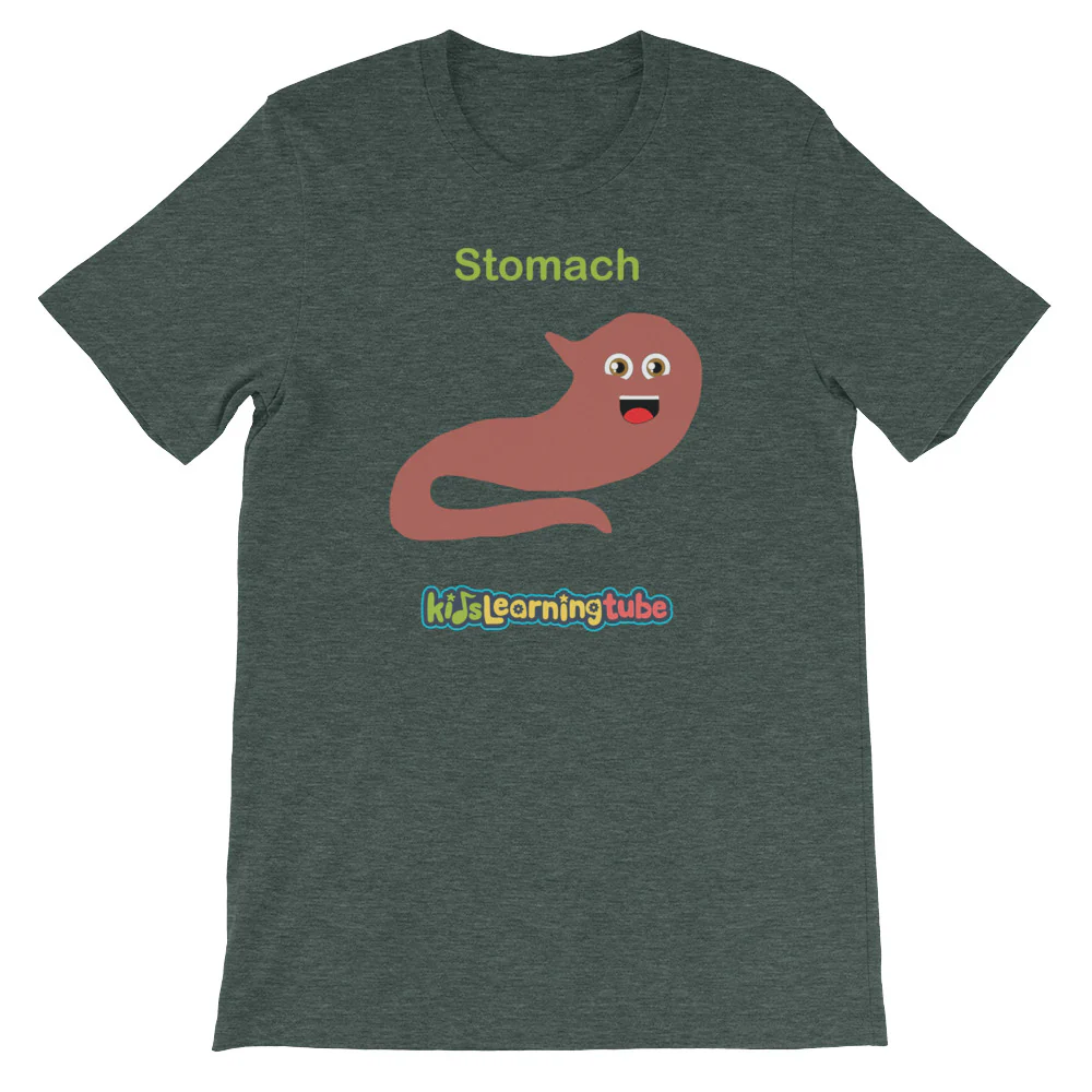 'Stomach' Adult Unisex Short-Sleeve T-Shirt - Image 4