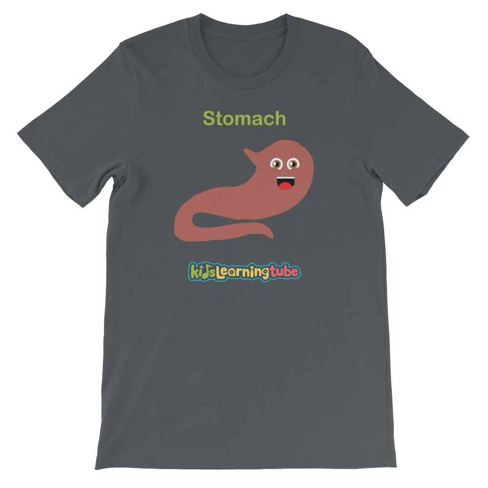 'Stomach' Adult Unisex Short-Sleeve T-Shirt - Image 5