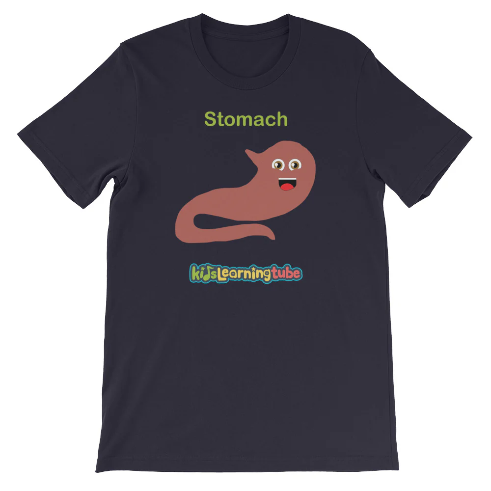 'Stomach' Adult Unisex Short-Sleeve T-Shirt - Image 6