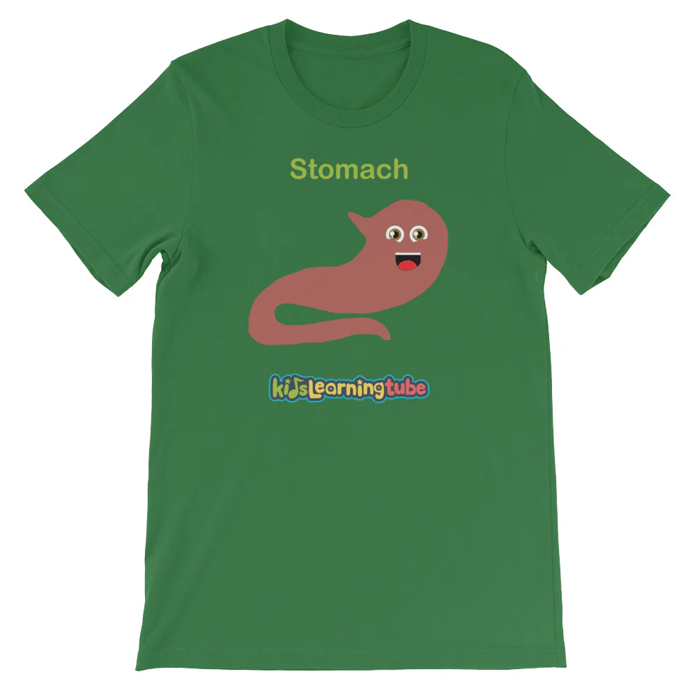 'Stomach' Adult Unisex Short-Sleeve T-Shirt - Image 7