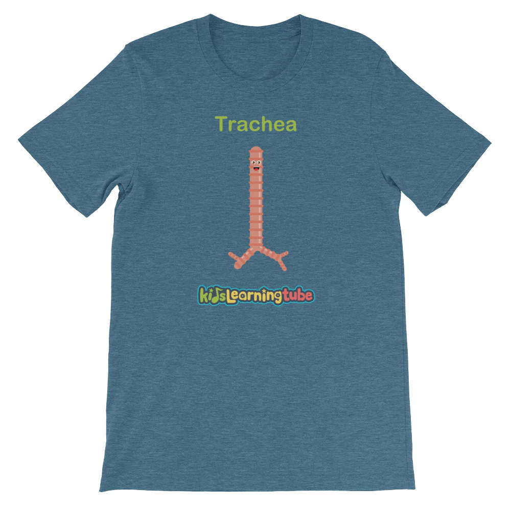 'Trachea' Adult Unisex Short-Sleeve T-Shirt - Image 5