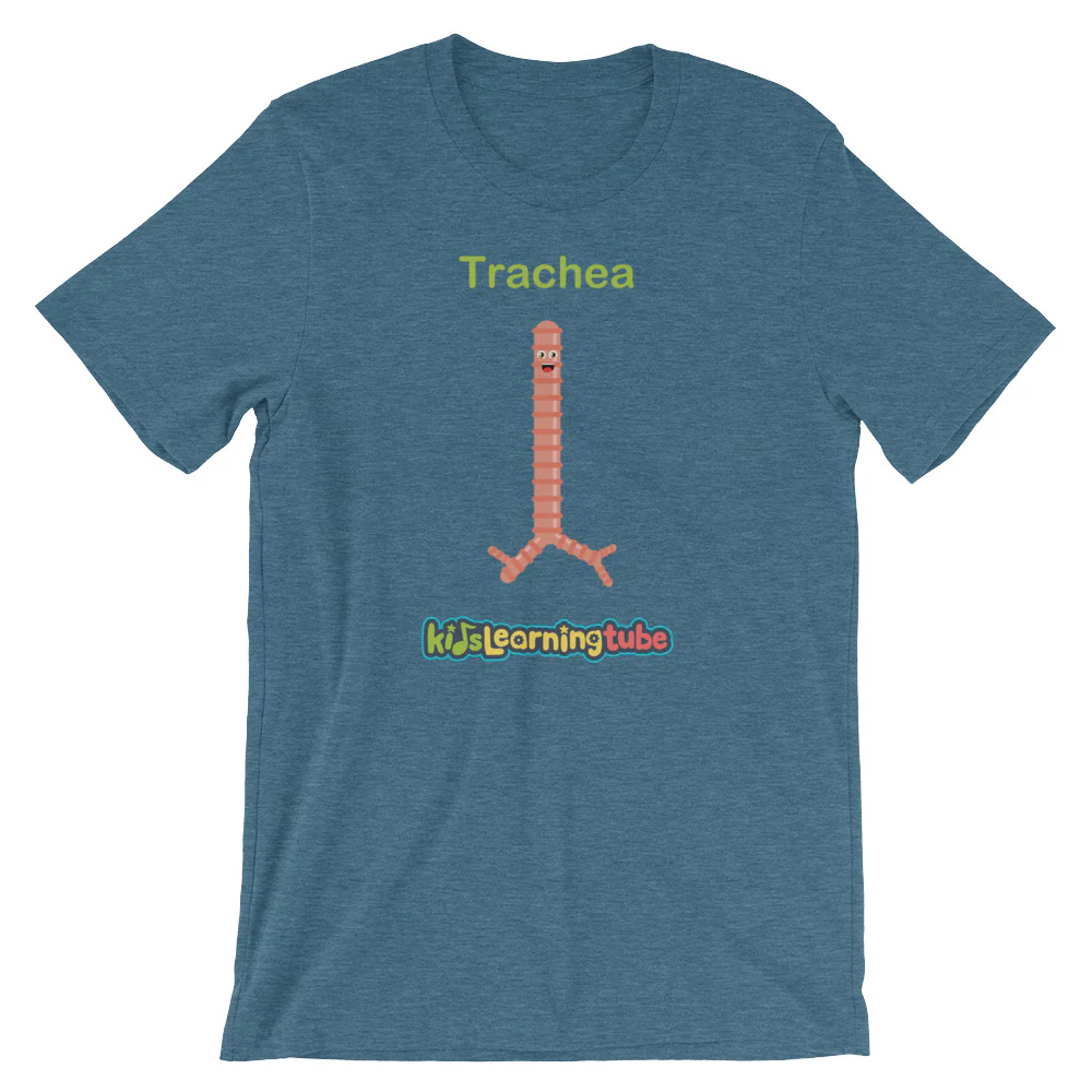 'Trachea' Adult Unisex Short-Sleeve T-Shirt - Image 6