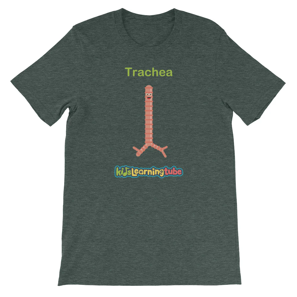 'Trachea' Adult Unisex Short-Sleeve T-Shirt - Image 7
