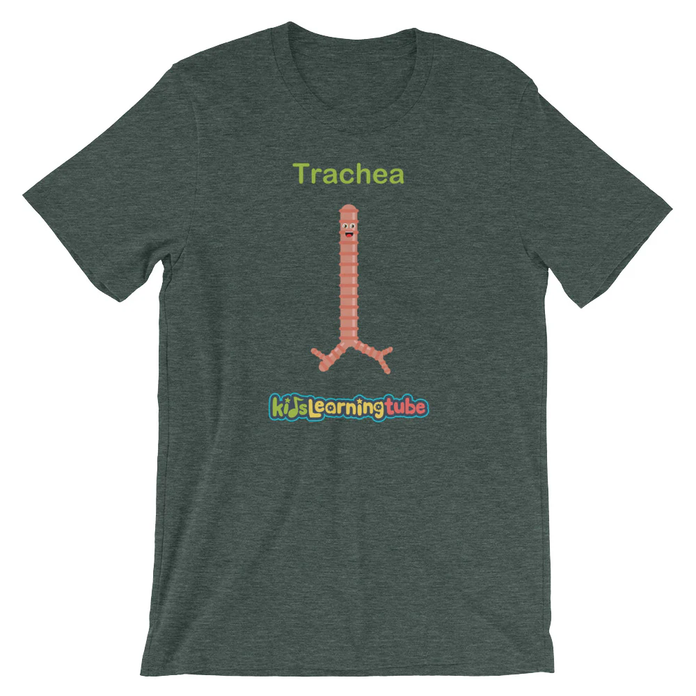 'Trachea' Adult Unisex Short-Sleeve T-Shirt - Image 8