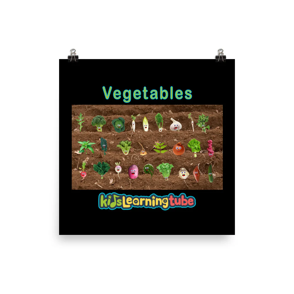 Vegetables - Poster - Image 5